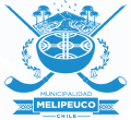 https://www.digitalingenieria.cl/wp-content/uploads/2024/01/partners_logo_6_2.png