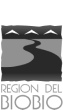 https://www.digitalingenieria.cl/wp-content/uploads/2024/01/partners_logo_9_1.png